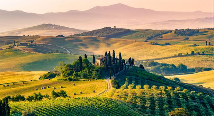 Realizzazione sito web vetrina professionale in Toscana